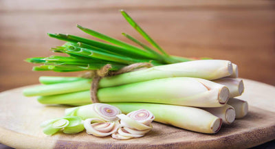 <p><strong>Lemongrass (Oil + Leaf Powder)</strong></p>