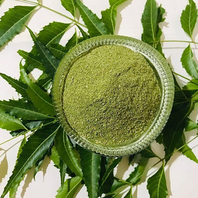 <p><strong>Neem Leaf Powder </strong></p>